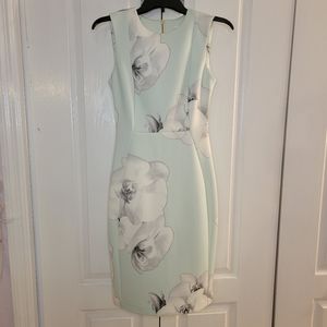 Calvin Klein | Scuba Dress | Blue Floral